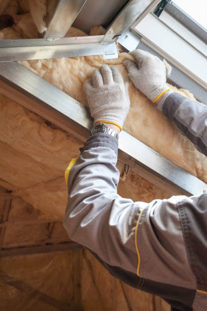 Best Types of Insulation in Hooverson Heights, WV